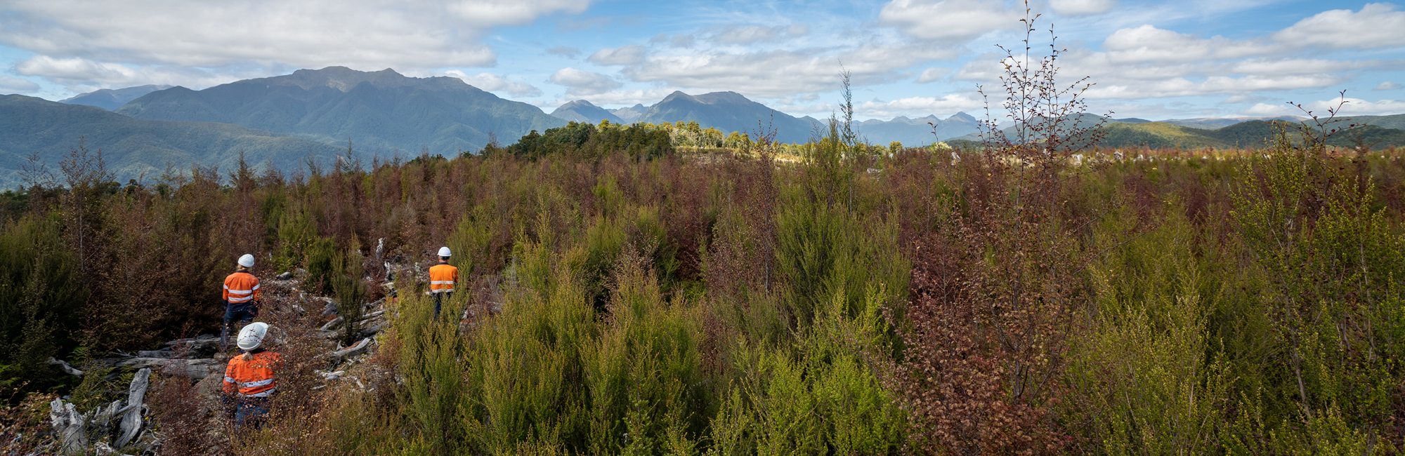 Reefton gold mine restoration returning results OceanaGold